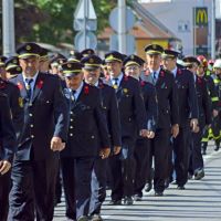 11080331_403924639779748_4385328736729803418_o