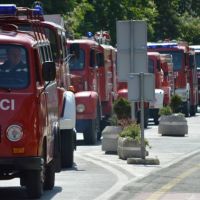 11212686_403925029779709_4112828074157602605_o